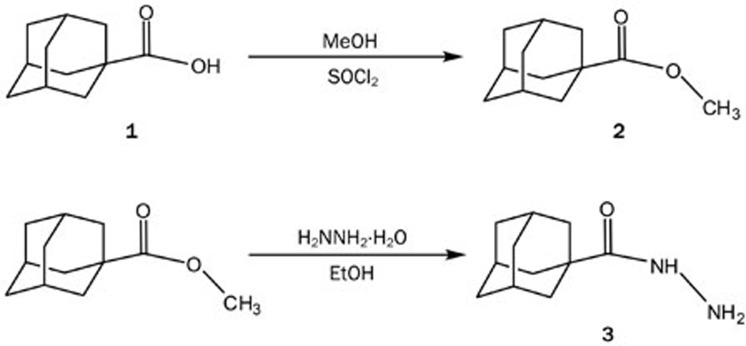 Scheme 1