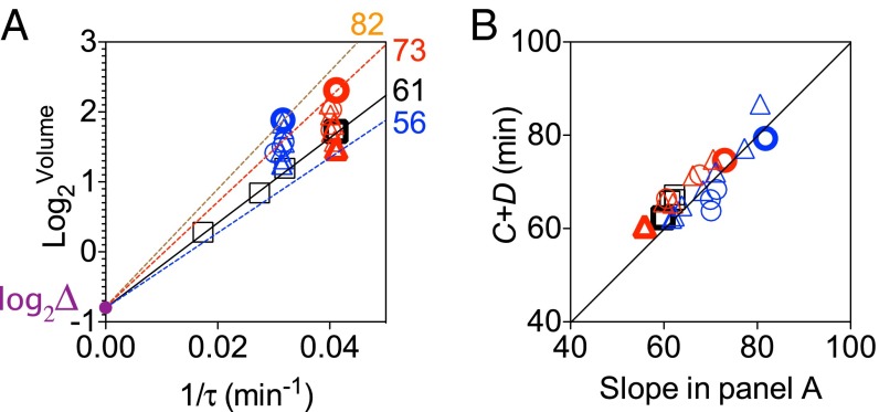 Fig. 6.