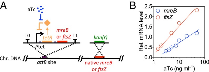 Fig. 2.