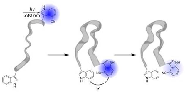 graphic file with name nihms-1035287-f0001.jpg