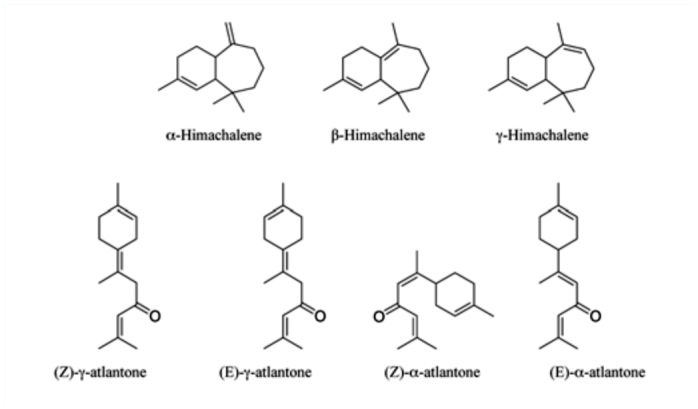 Figure 3. 