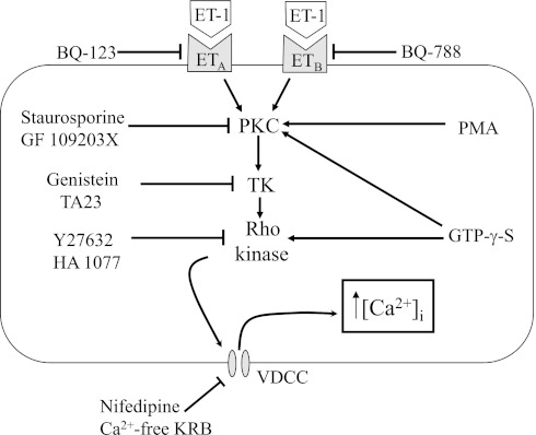 Fig. 10.