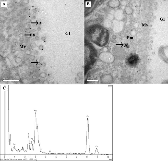 Fig 9