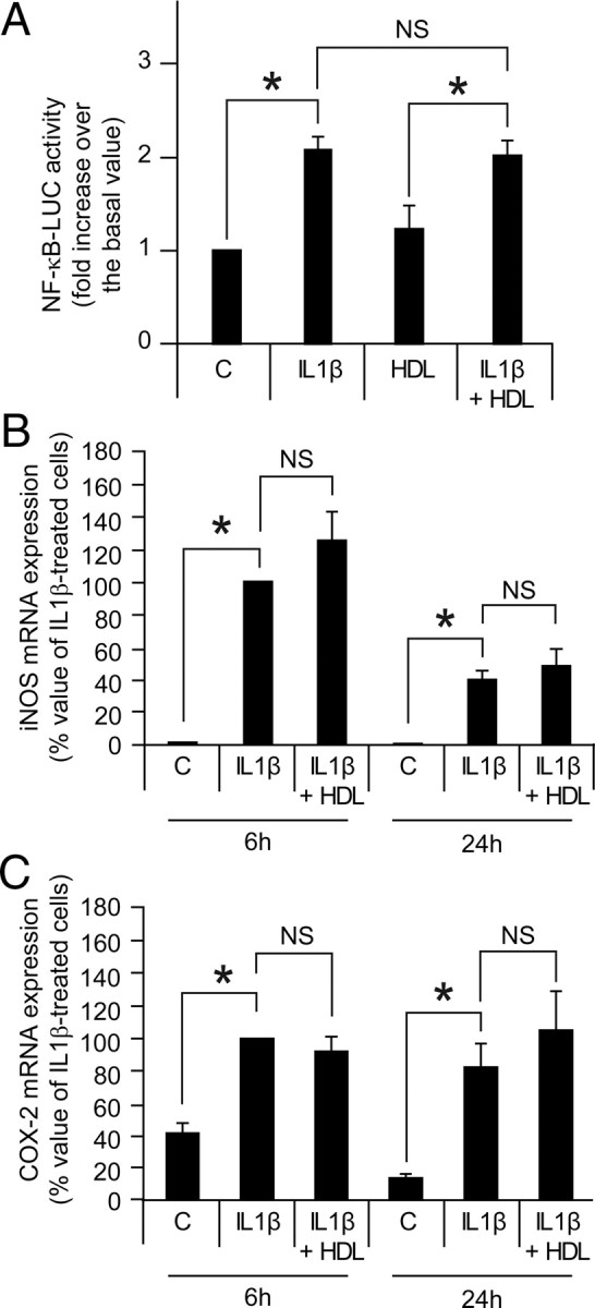 Fig. 9.