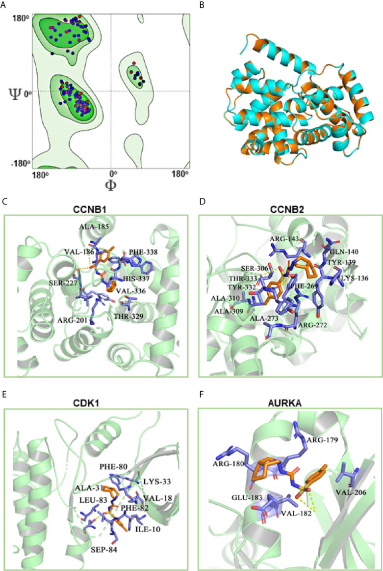 Figure 7