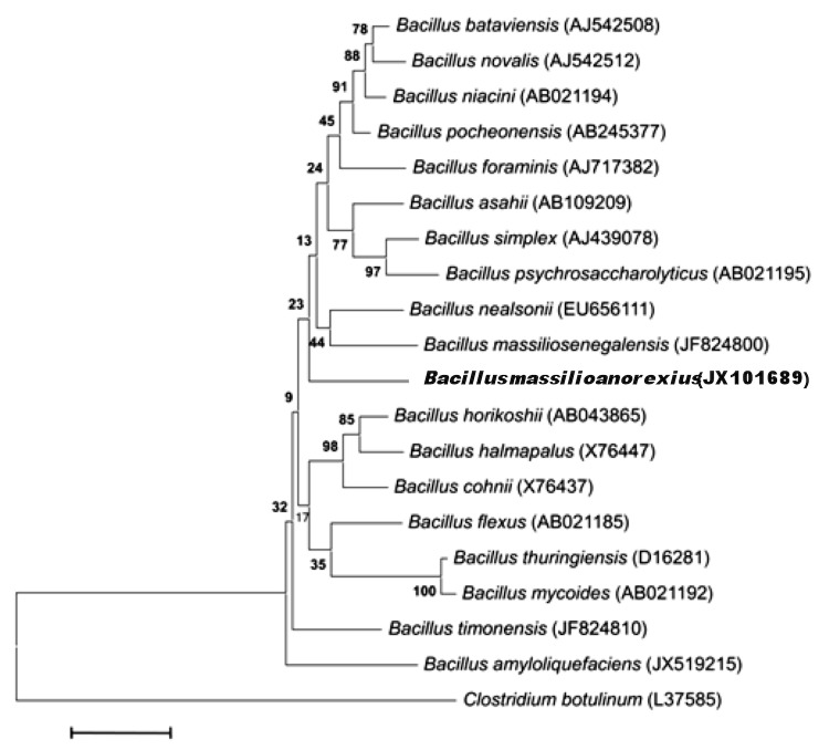 Figure 1