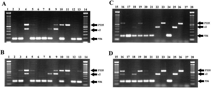 FIG. 4