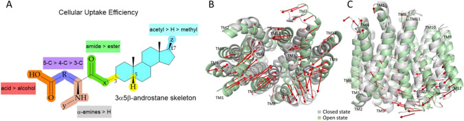 Fig. 9