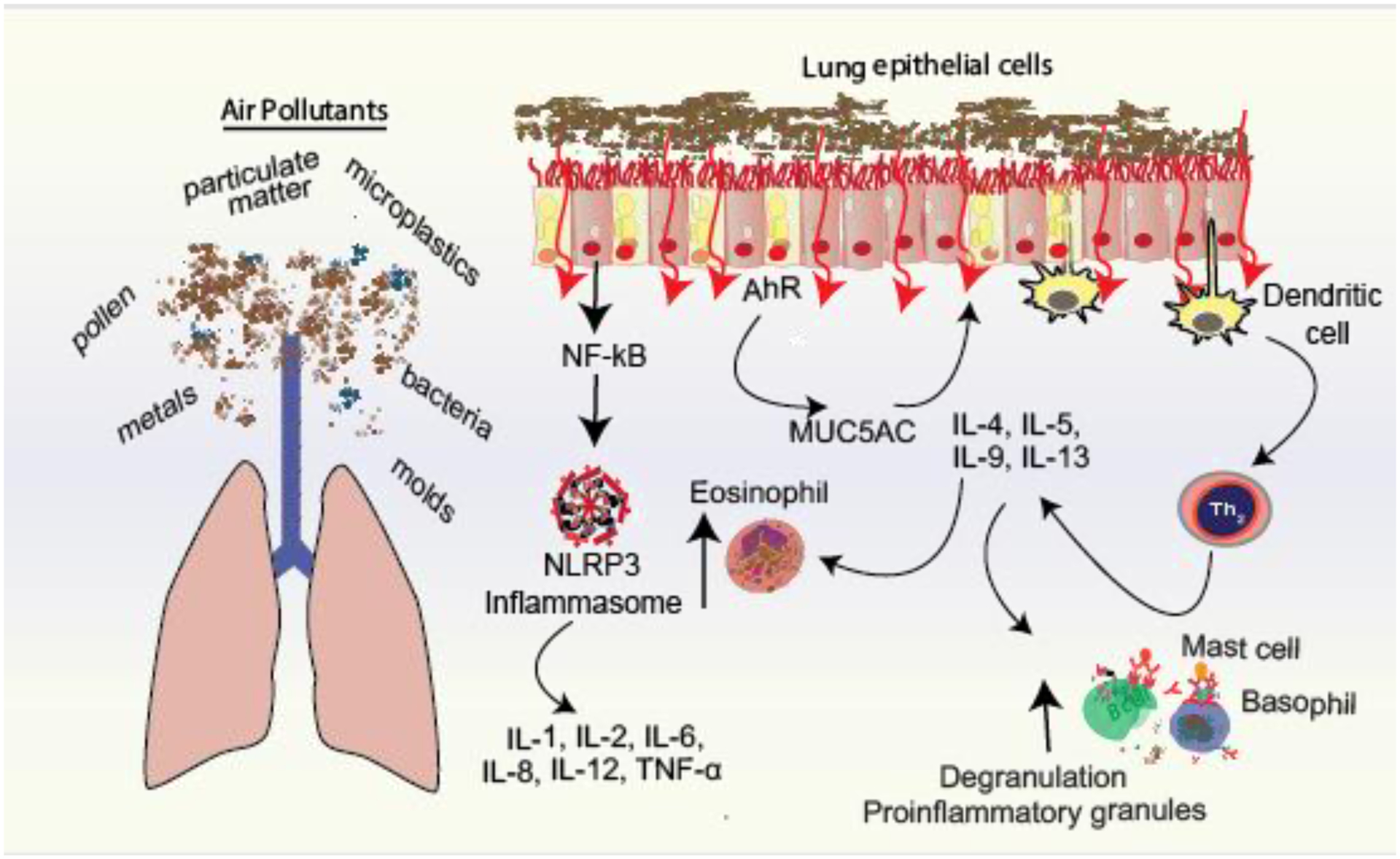 Figure 3: