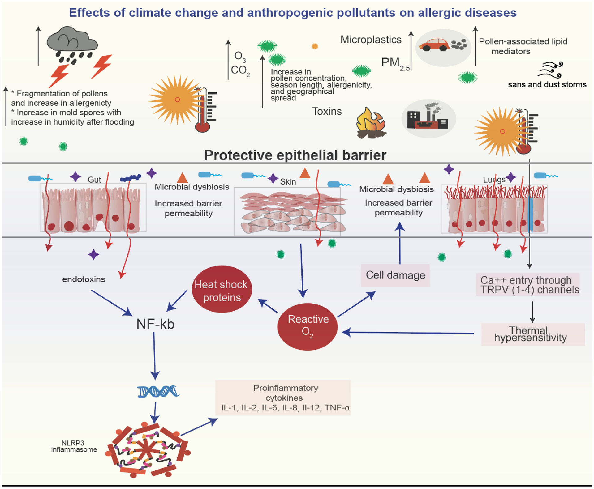 Figure 4: