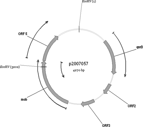 FIG. 3.