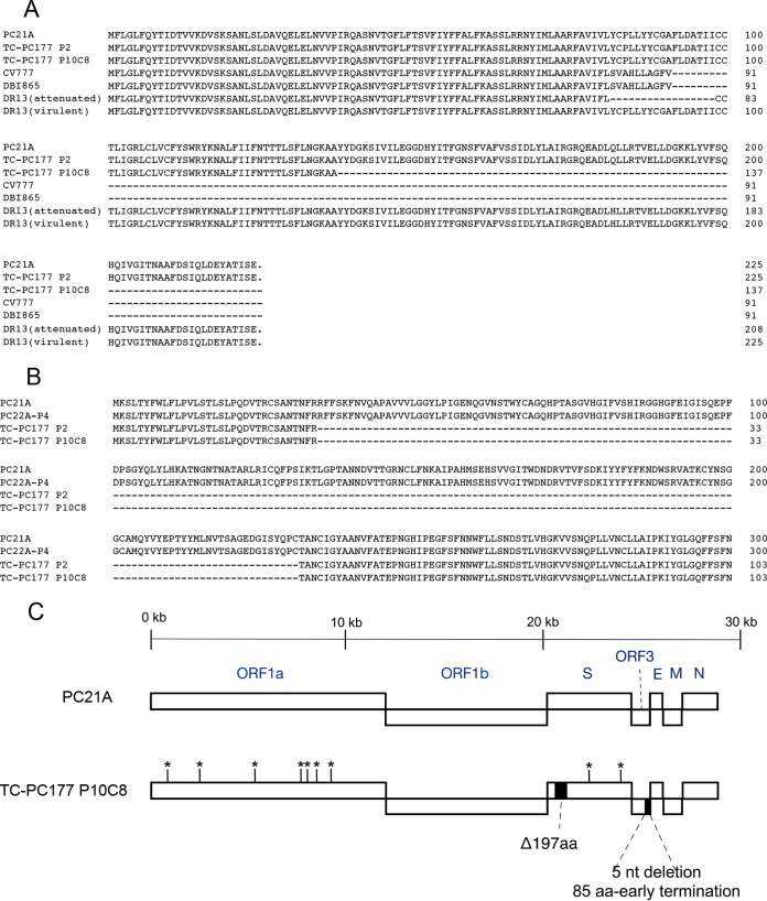 FIG 3