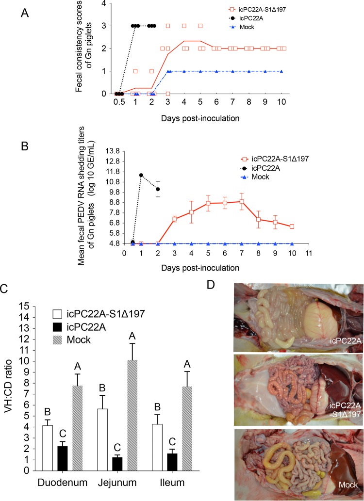 FIG 6