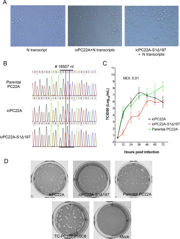 FIG 4