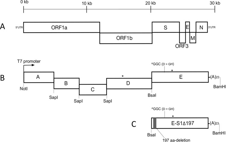 FIG 9