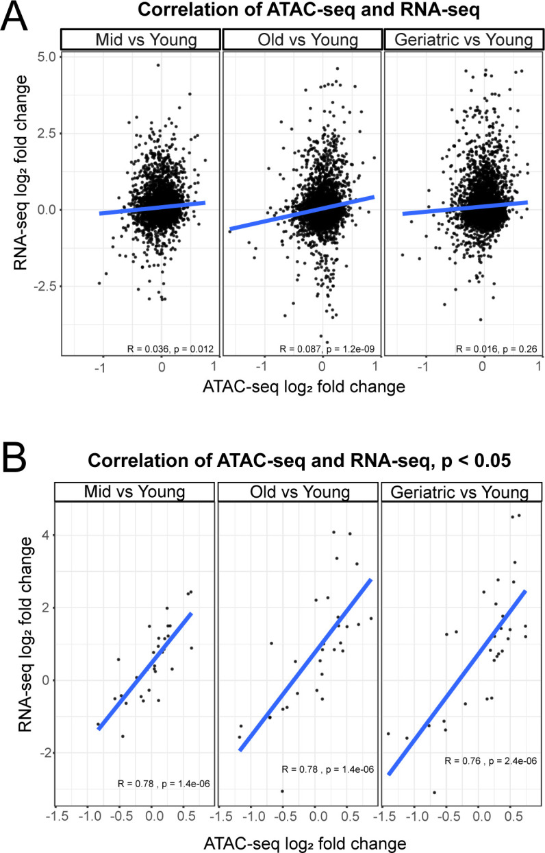 Figure 1—figure supplement 2.