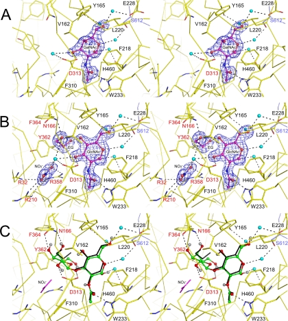 FIGURE 3.