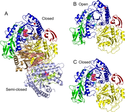 FIGURE 2.