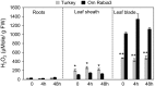 Fig. 7