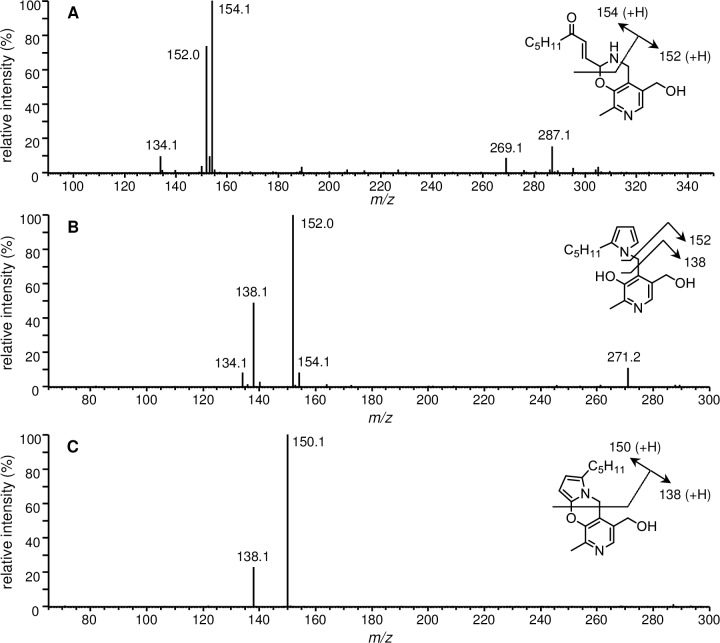 Fig 2