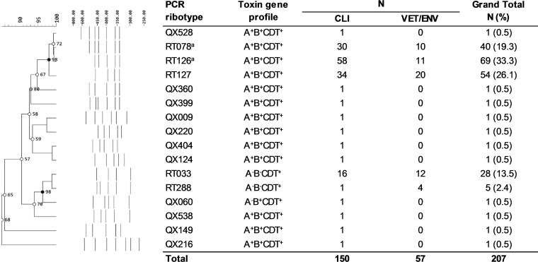 FIG 1