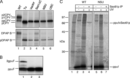 FIGURE 5.