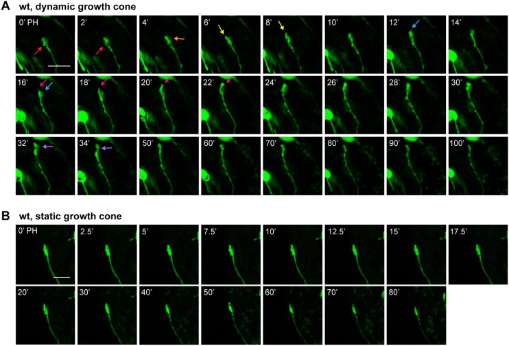 Fig. 4.