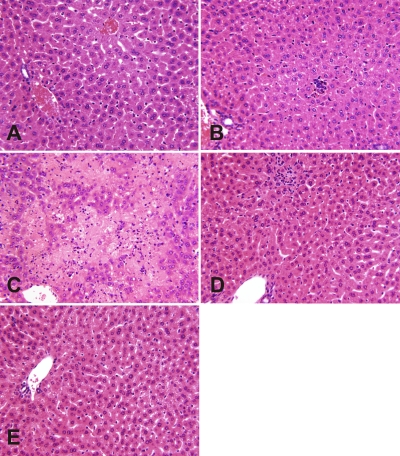 FIG. 5.