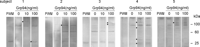 Fig. 7