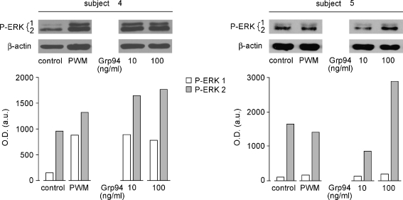 Fig. 6