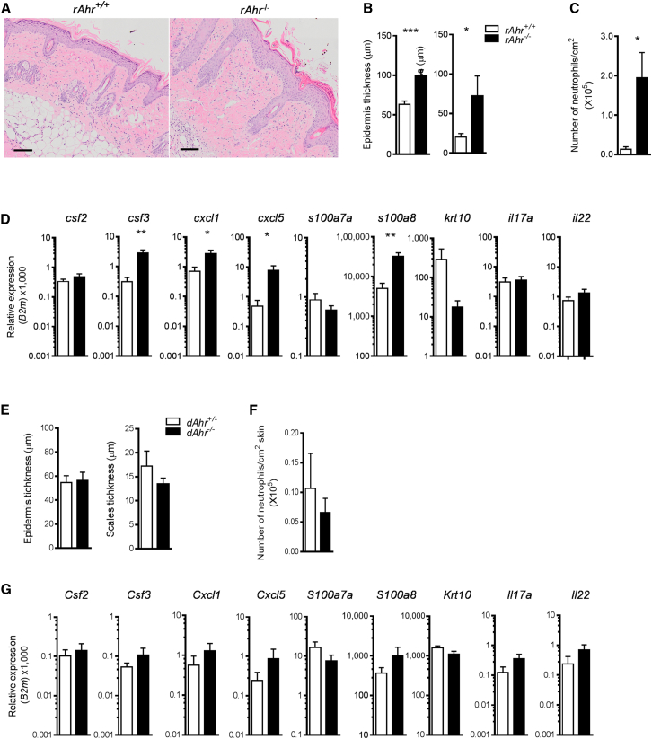 Figure 5