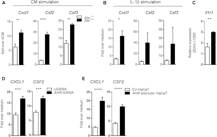 Figure 6