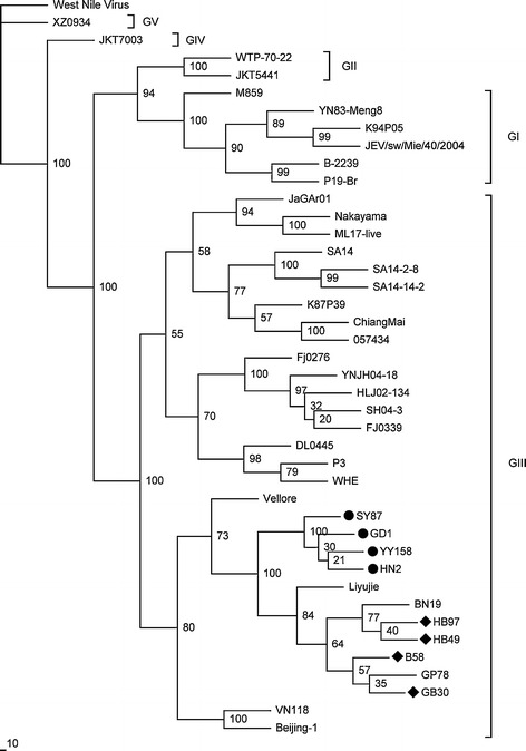 Fig. 3