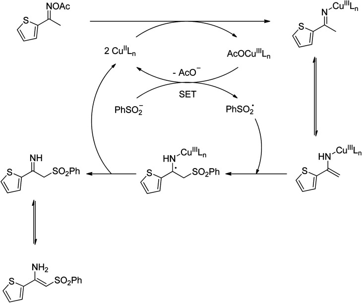 Scheme 2