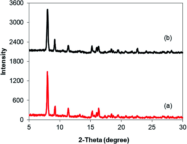 Fig. 10