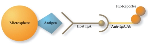 Figure 1)