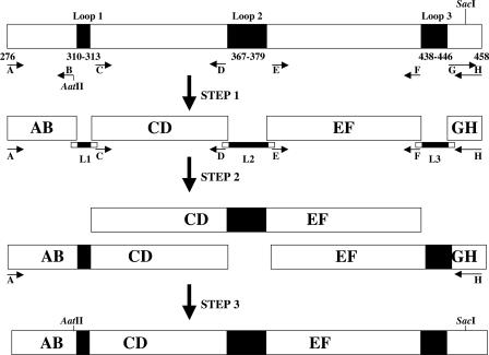 FIG. 1.