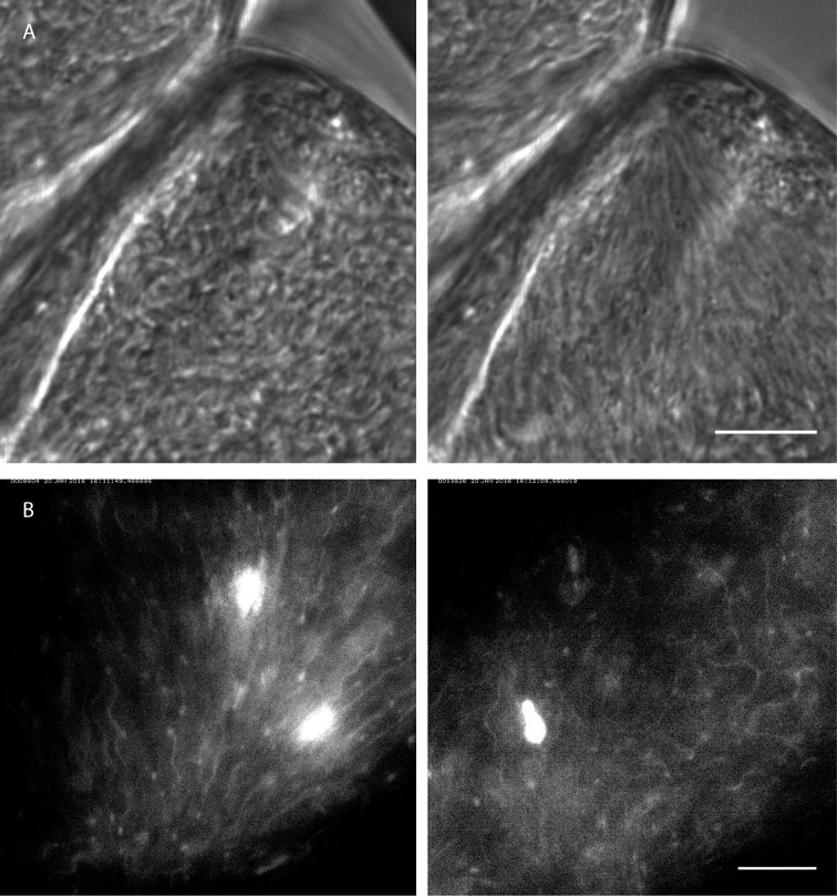 Figure 10.