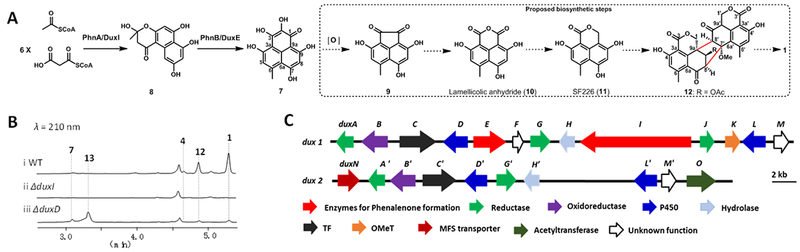 Figure 2.