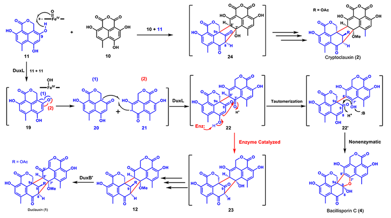 Figure 5.