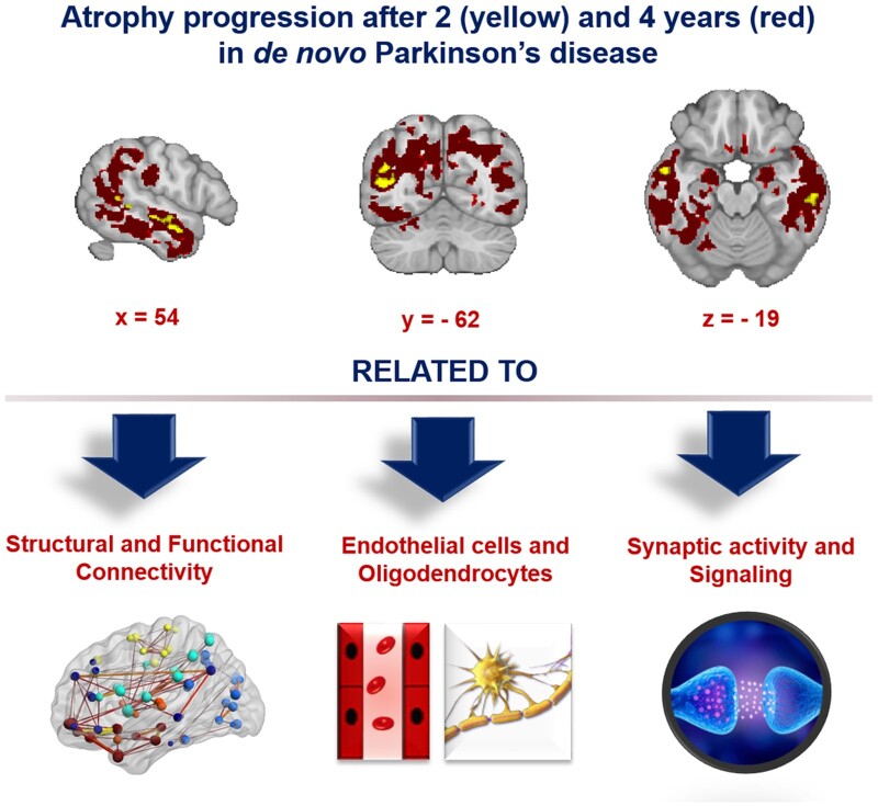Graphical Abstract