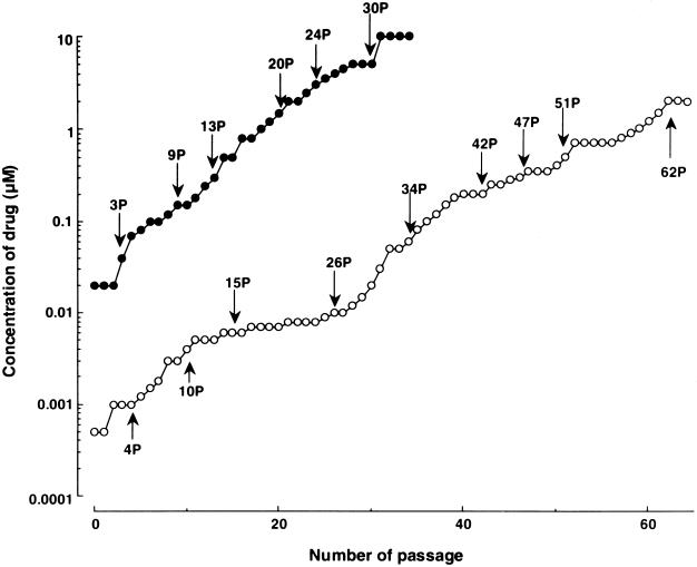 FIG. 2.