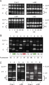 Fig. 4.