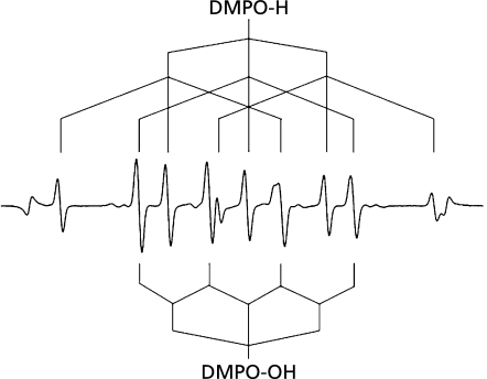 Fig. 2