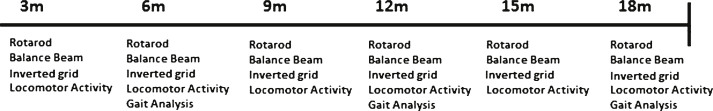 Fig.1