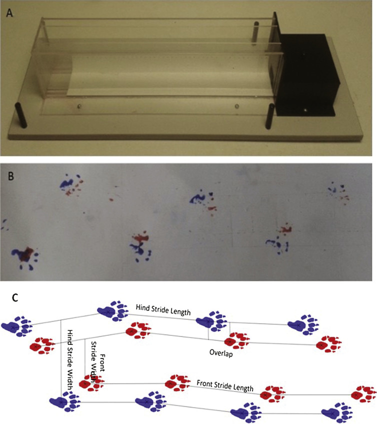 Fig.2