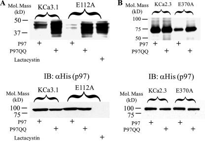 FIGURE 10.