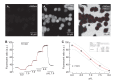 Figure 1—figure supplement 3.