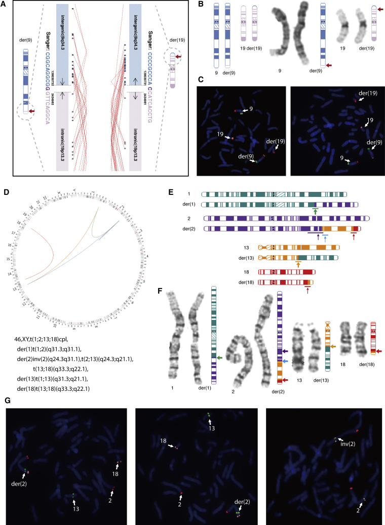 Figure 2