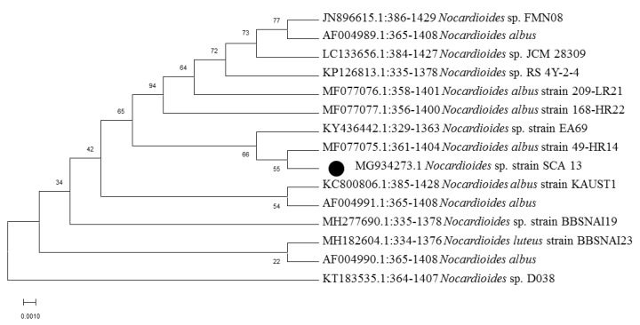 Figure 4